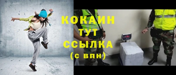 трава Тайга