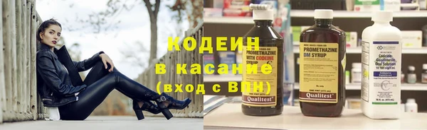 PSILOCYBIN Сясьстрой