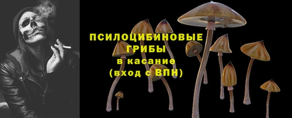трава Верхний Тагил