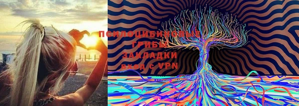 трава Тайга