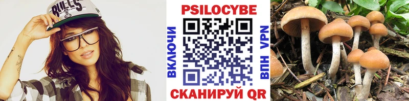 Галлюциногенные грибы Cubensis  Новодвинск 